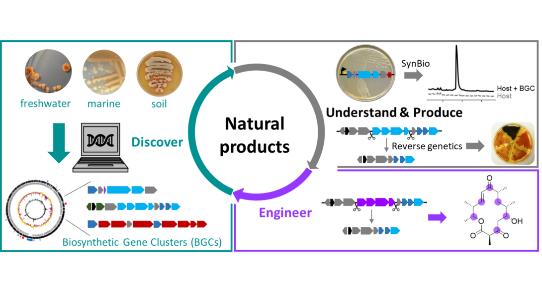 Research Interests of the Eustaquio Lab